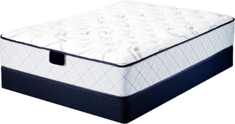 Image Title My Image